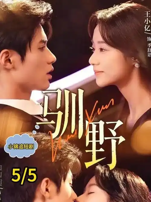 旧城手记都市情感剧全集在线看